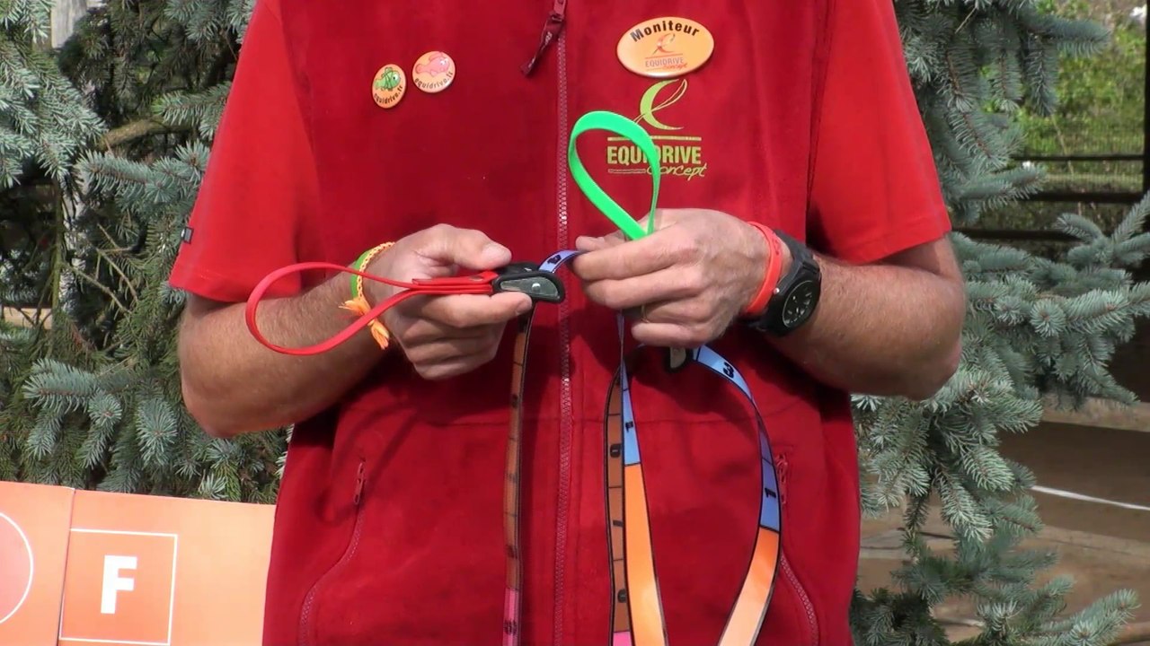 Cheval Pratique - Equidrive