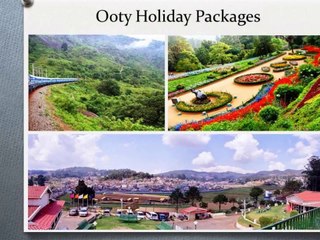 Masti India - Best domestic travel company in india.