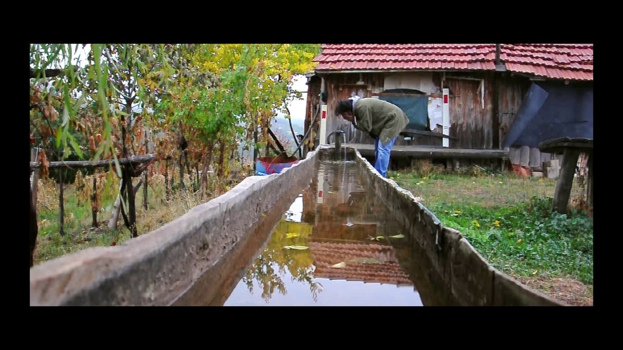 Sakura ''ferhatalpozen''