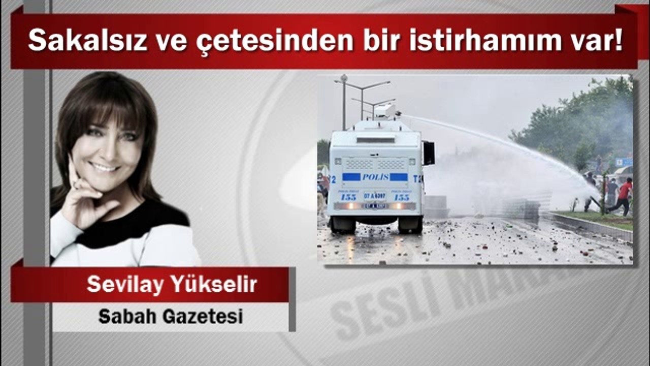 Sevilay Yükselir : Sakalsız ve çetesinden bir istirhamım var!
