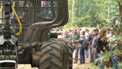 Foire forestière de Belvès
