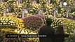 Memorial for Sewol ferry victims
