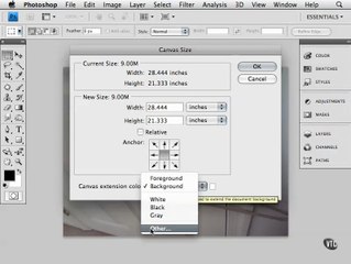 Documents Part 5-The Canvas