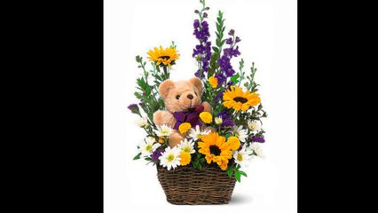 Rize Orkide Çiçekçilik - Hoşgeldin Bebek