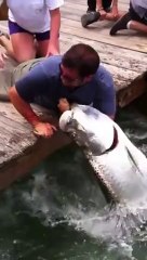 un poisson mange le bras d'un homme