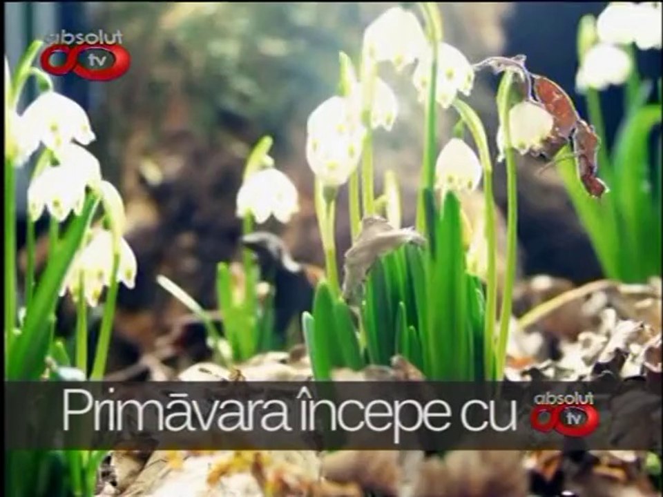 DP 17APR 2014