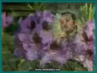 ahmet feyzi kabem klip