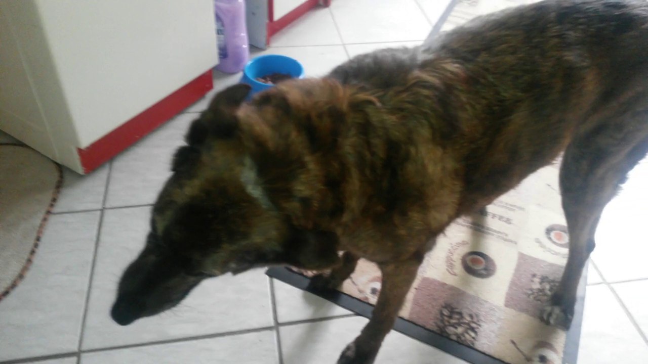 000 erster Tag mit Vestibular ---- 29-04-2014 --- 17 - 00 Uhr