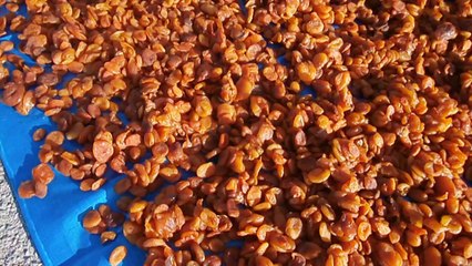 Mişmiş fiyatları fırladı,yine köylü perişan-Sultan Kılıç