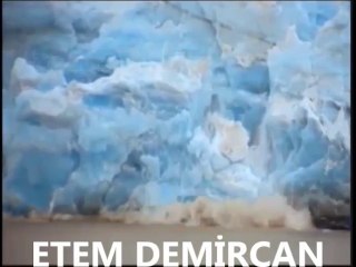 KUTUPTA YAZ GİBİ ZEKİ MÜREN