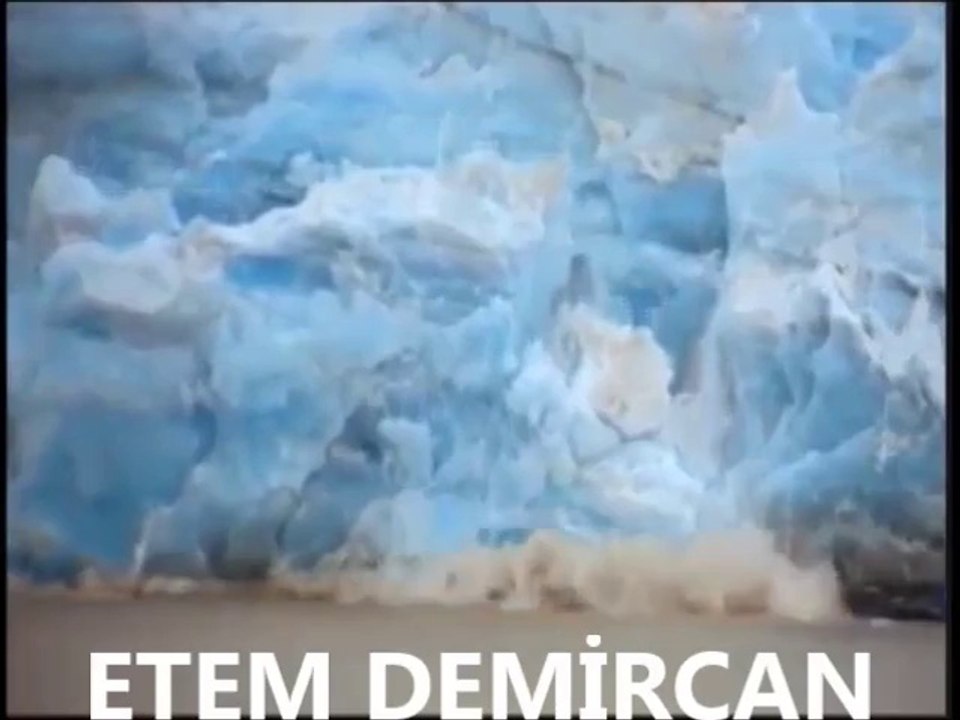 KUTUPTA YAZ GİBİ ZEKİ MÜREN