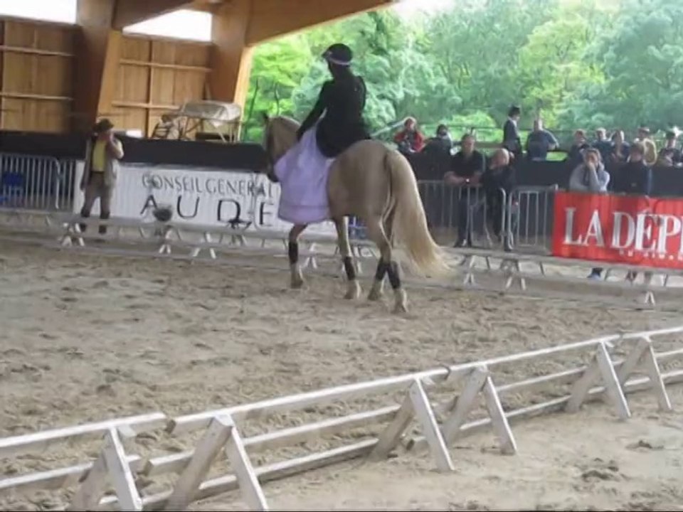 Elégance Marie Carcassonne 2014