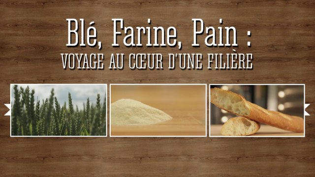Le Chemin du Blé à la Farine au Pain