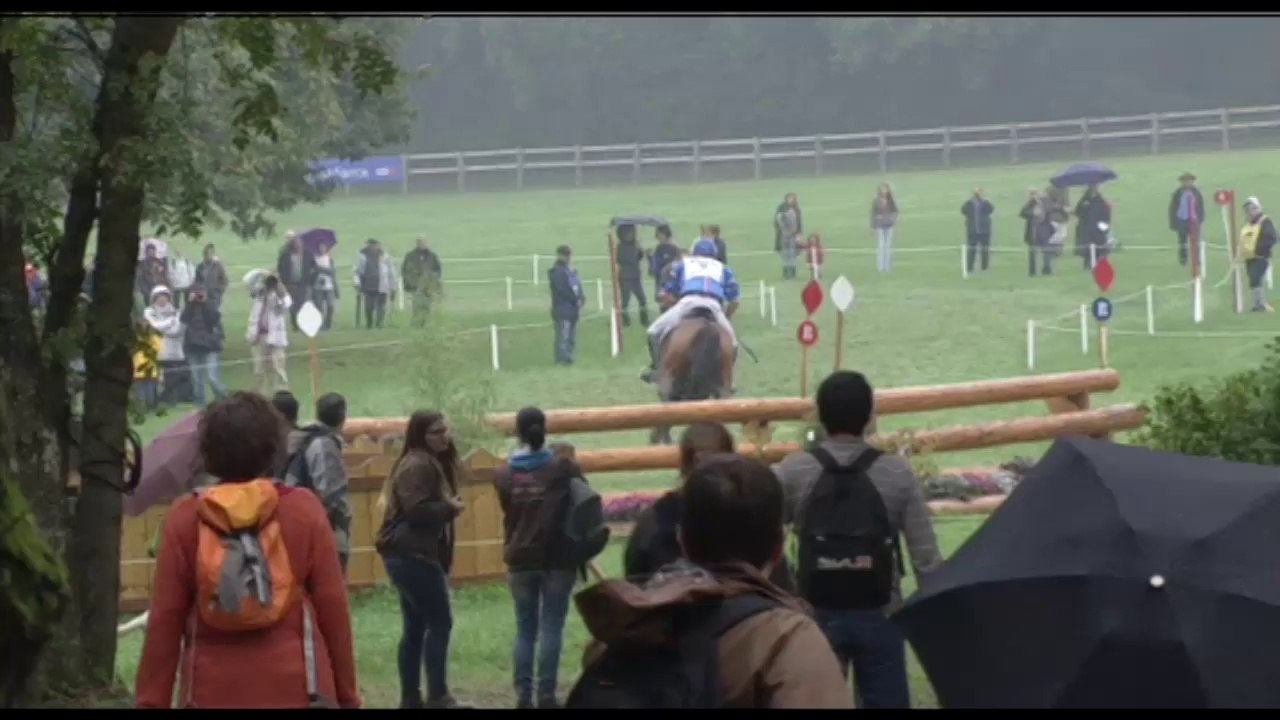 Cross_6ans_Tenareze_Mondialdulion2013