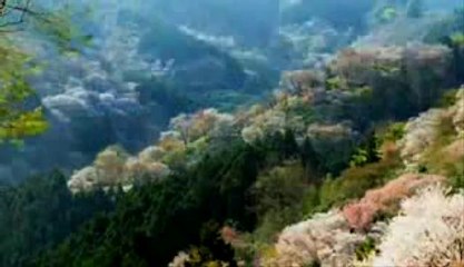 Nakşibendi Hz. 1 / 5 Bölüm