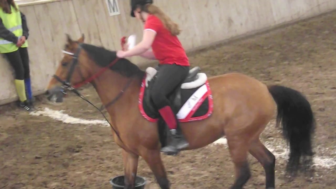 Nocturne de Pony Games au Waldhof