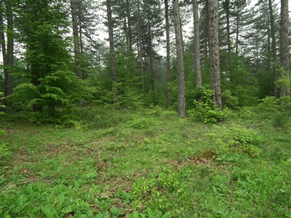 İnegöl dokuzlar şelalesi  (foto slayt video) doğa yürüyüşü 13-05-2012