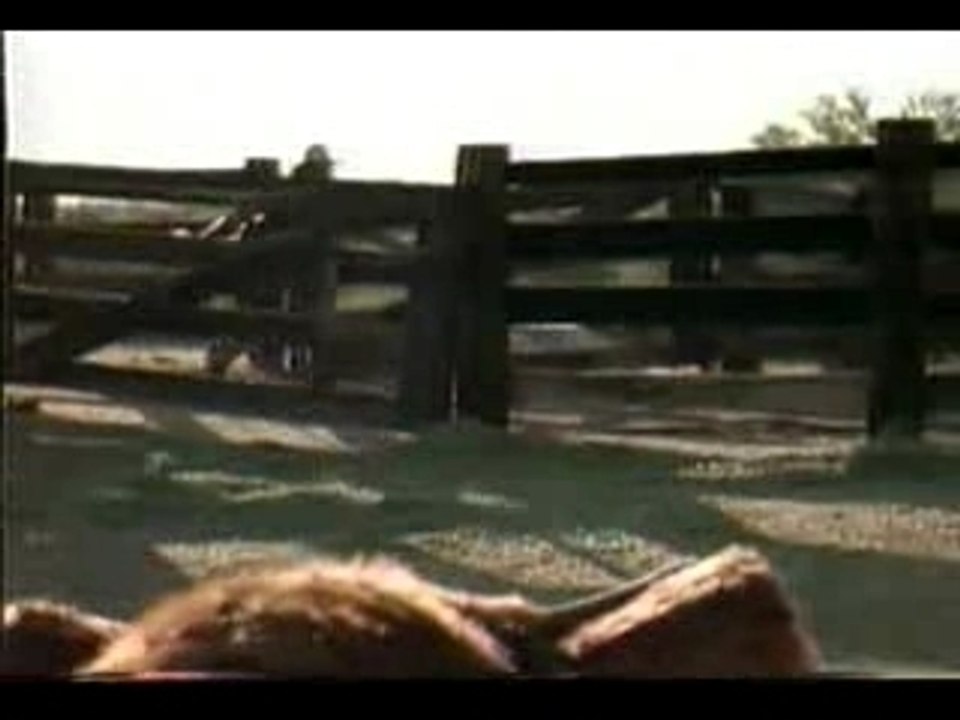 HP Sauce - Singing Bull Advert