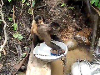 Bunu Bayanlar İzlemesin..