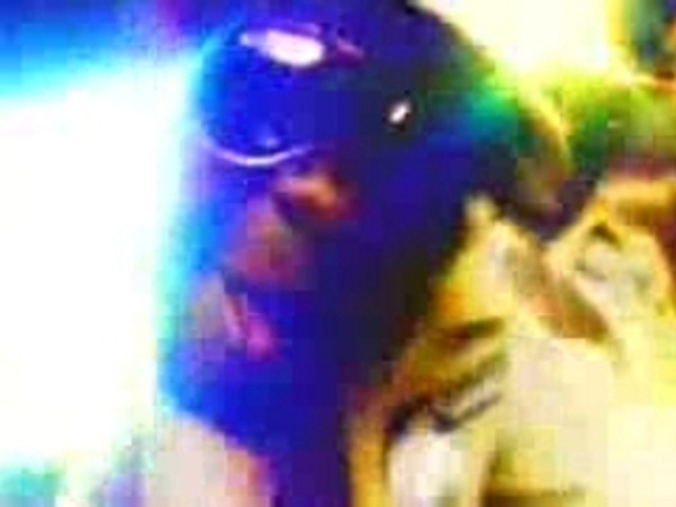 Kheops - Tous veulent le succes