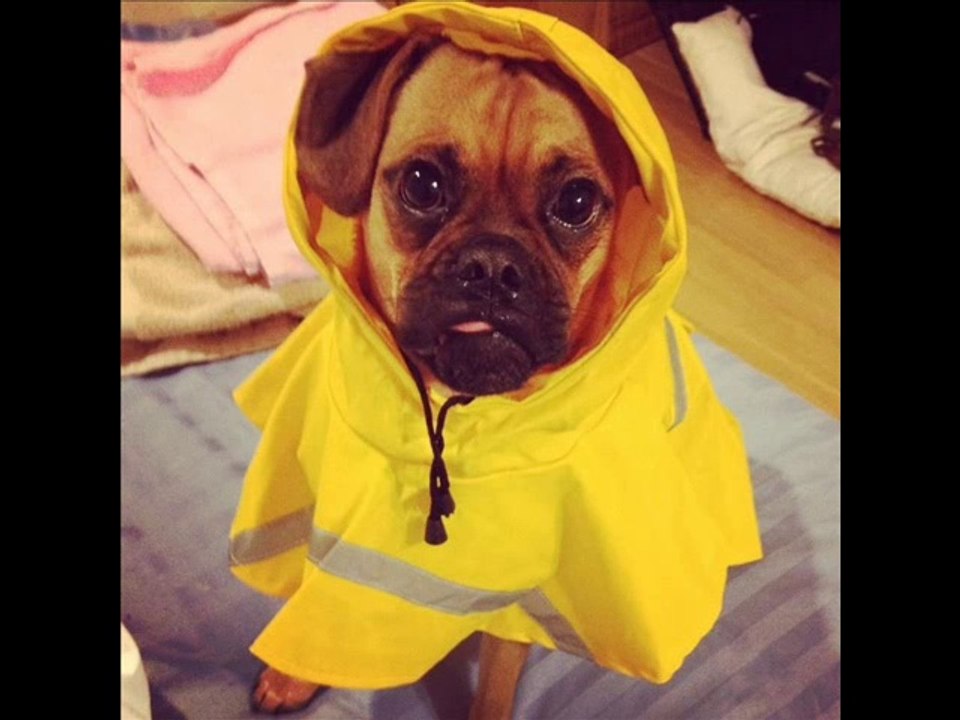 Rainymood Rainy Mood