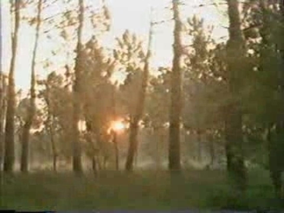 1985 part5
