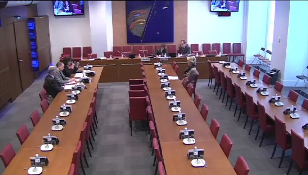 Audition de Mme Chantal Brault, représentant l'Association des maires de France (AMF) - Mercredi 30 Avril 2014