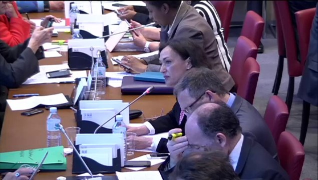 Audition de Mme Ségolène Neuville, secrétaire d'Etat chargée des personnes handicapées - Mercredi 30 Avril 2014