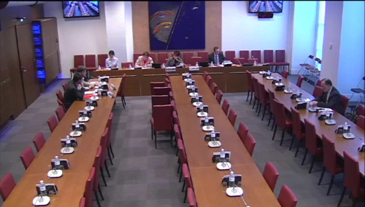 Audition des Dr Thierry Brigaud et Jean-François Corty - Jeudi 10 Avril 2014