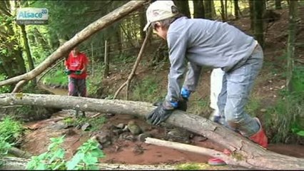 Hebdo DD : Le développement durable en Alsace (30/04/14)