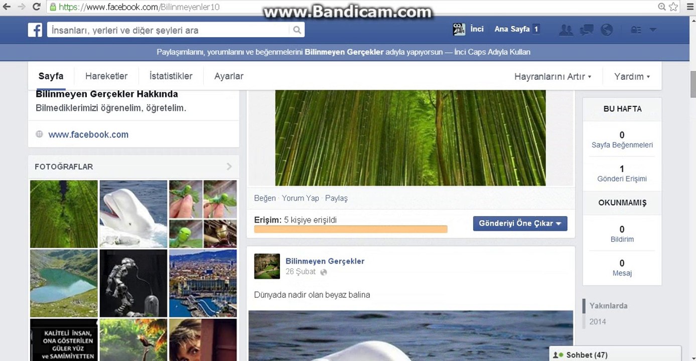 Sayfa Beğendirme Hilesi 2014