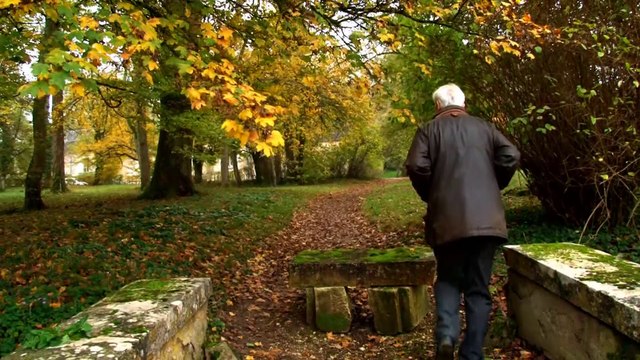 Château de Tracy - Pouilly Fumé
