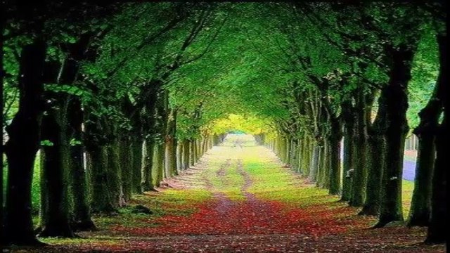 ANKA İLAHİ GRUBU - YA RESULALLAH