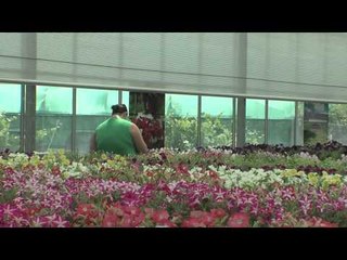 Intervista a Renato Faraone Mennella - il mio progetto