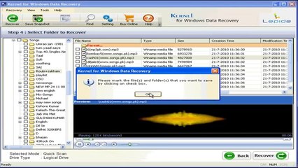 Recover Deleted Data from Windows FAT and NTFS Partitions - Kernel for Windows