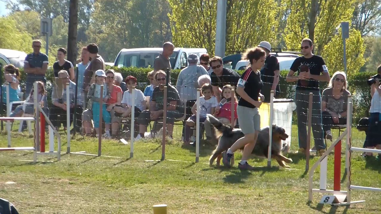 Granger Jumping Belleville 2014