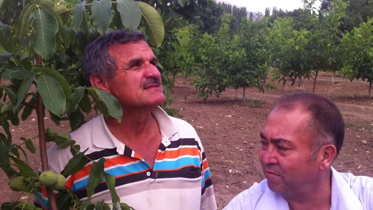 Altay Ceviz müşteri yorumları 0 532 672 46 27