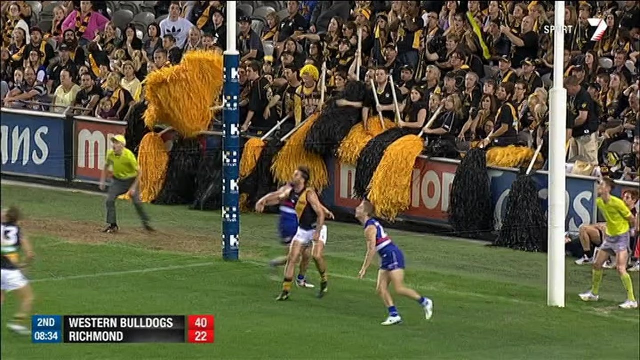 AFL 2014 Round 3 - Western Bulldogs v Richmond x264 (2nd quarter)