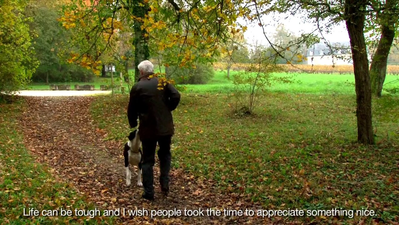 Château de Tracy - Pouilly Fumé