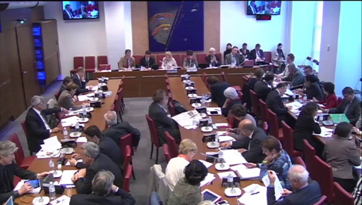 Commission des affaires sociales : Question à Ségolène Neuville sur le Rapport de la MECSS - 30 avril 2014