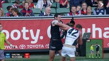 AFL 2014 Round 4 - Carlton v Melbourne x264 (3rd Quarter)