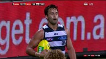 AFL 2014 Round 4 - Geelong v West Coast x264-VB (4th Quarter)