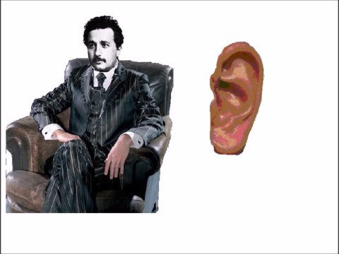 Der achte Bundesrat der Schweiz Albert Einstein spricht zum Volk