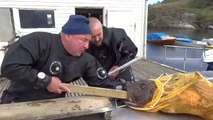 Kolunu Balığa Kaptıran Balıkçı şok tıklanma rekoru kırdı