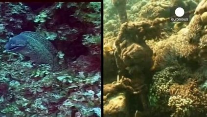 Mare nero di plastica. L'allarme da un studio europeo