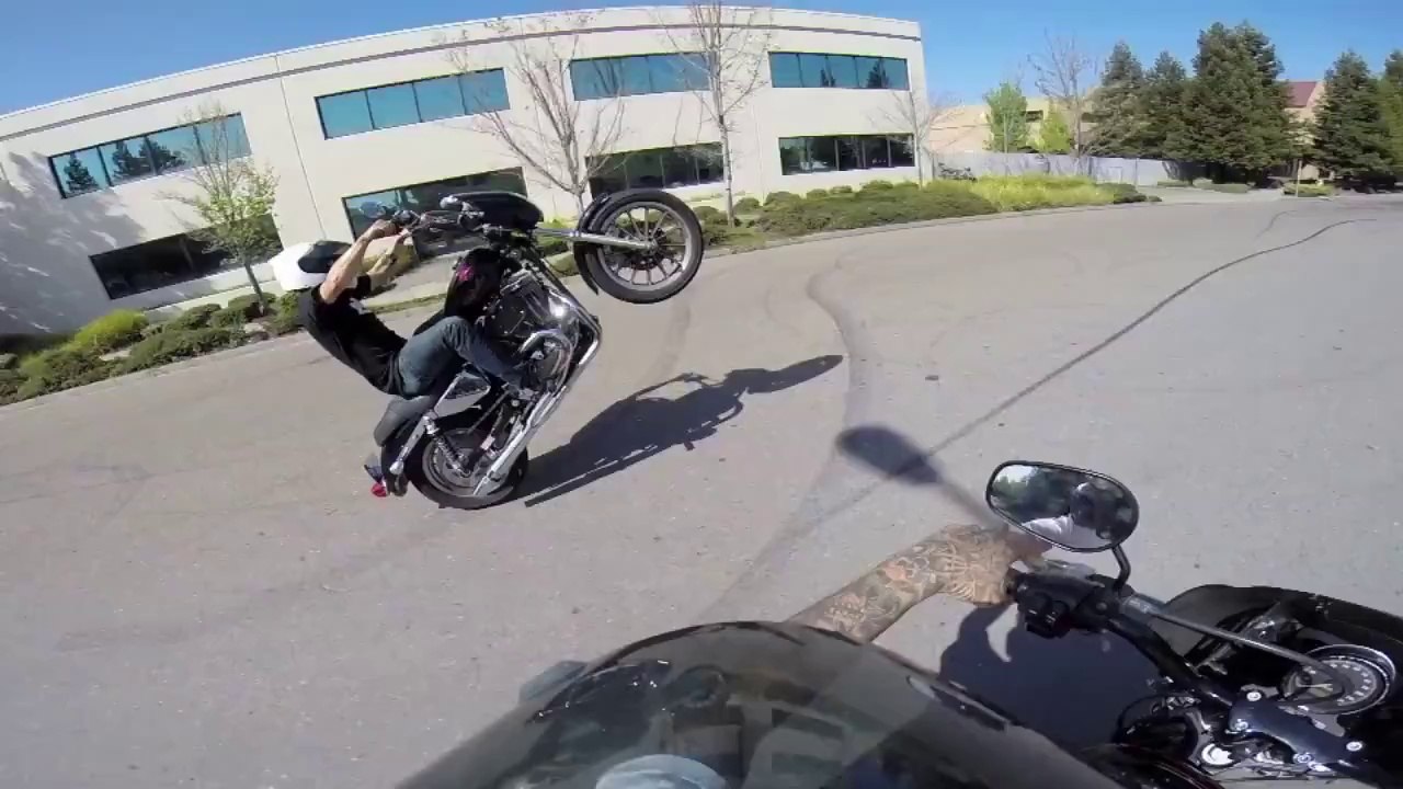 Des motards font du wheeling en Harley-Davidson