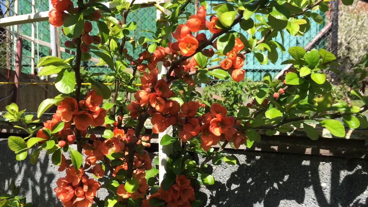 Springtime 2014