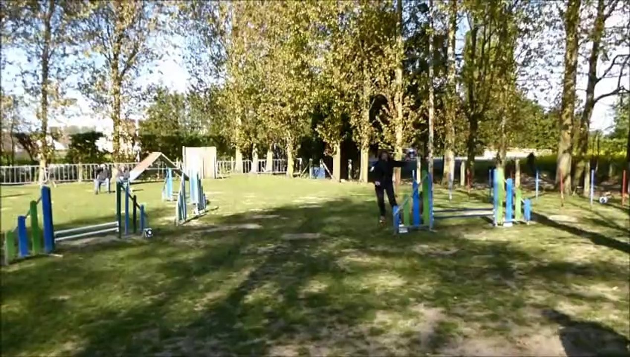 concours agility Ouistreham