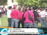 En Mérida los oficialistas marcharon hasta la Plaza Bolívar