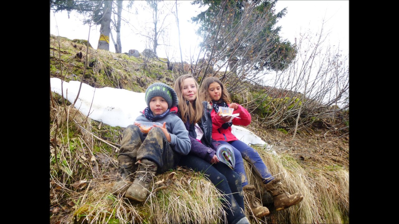defi-foly 2014